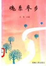 魂系枣乡 封面