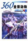 360°全景动物  鸟类 封面