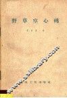 野草空心砖 封面