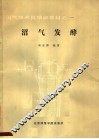 沼气发酵 封面