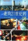 走向21世纪的河南企业 封面