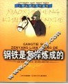 钢铁是怎样炼成的 封面