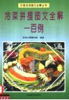 冷菜拼摆图文全解一百例 封面