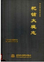 粑铺大堤志 封面