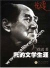 我的文学生涯 电子书封面