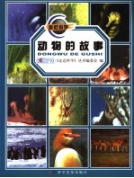 动物的故事 封面