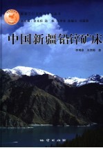 中国新疆铅锌矿床 封面