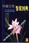 中国兰花名品珍品鉴赏图典 封面