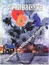 静物的色彩 封面