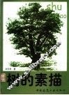 树的素描 封面