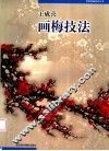 王成喜画梅技法 封面