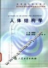 人体结构学 封面