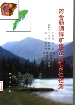 阿舍勒铜锌矿床及三维定位预测 封面
