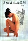 人体姿态与解剖  动态 封面