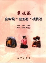 攀枝花苴却砚·宝玉石·观赏石 封面
