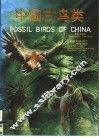 中国古鸟类  中英文本 封面