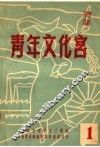 青年文化宫  1 封面