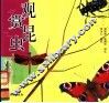 观赏昆虫  摄影集 封面