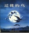 迁徙的鸟  摄影集 封面