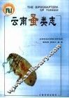 云南蚤类志 封面