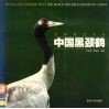 珍稀易危鸟类中国黑颈鹤 封面