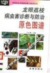 龙眼荔枝病虫害诊断与防治原色图谱 封面
