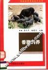 香猪饲养 封面