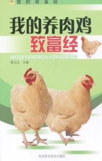 我的养肉鸡致富经 封面