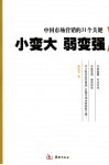 小变大  弱变强  中国市场营销的31个关键 封面