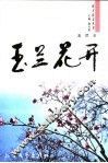 玉兰花开 封面