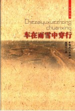 车在雨雪中穿行 封面