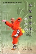 七星螳螂拳  梅花路 封面