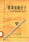 保护积极分子：批判“倚墙为生的人”及其它 封面