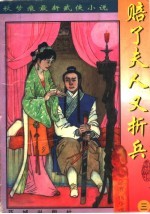 赔了夫人又折兵 封面