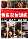 色彩形体训练 封面