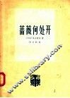蔷薇何处开 封面
