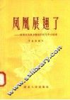 凤凰展翅了：新洲县风凰乡整风中的几个小故事 封面