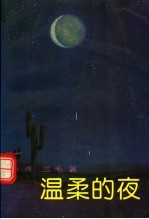 温柔的夜 封面