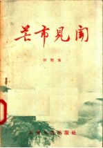 芒市见闻 封面