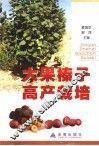 大果榛子高产栽培 封面
