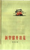 新梨催开浪花 封面