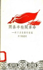 两条半枪闹革命：关于方志敏的歌谣 封面