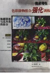 美术考生色彩静物组合强化训练  瓶罐器皿与花卉类的组合 封面