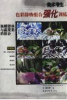 美术考生色彩静物组合强化训练  瓶罐器皿与蔬菜类的组合 封面
