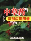 青草药识别应用图谱 封面
