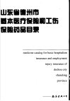 山东省德州市基本医疗保险和工伤保险药品目录 封面