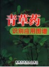 中草药识别应用图谱 封面