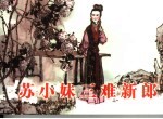 苏小妹三难新郎 封面