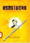 秘密地窖下的老英雄 封面