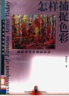怎样捕捉色彩  姚殿科风景油画技法 封面